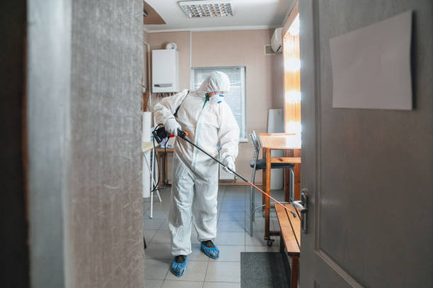 Best Mold Damage Restoration  in Ponce Inlet, FL