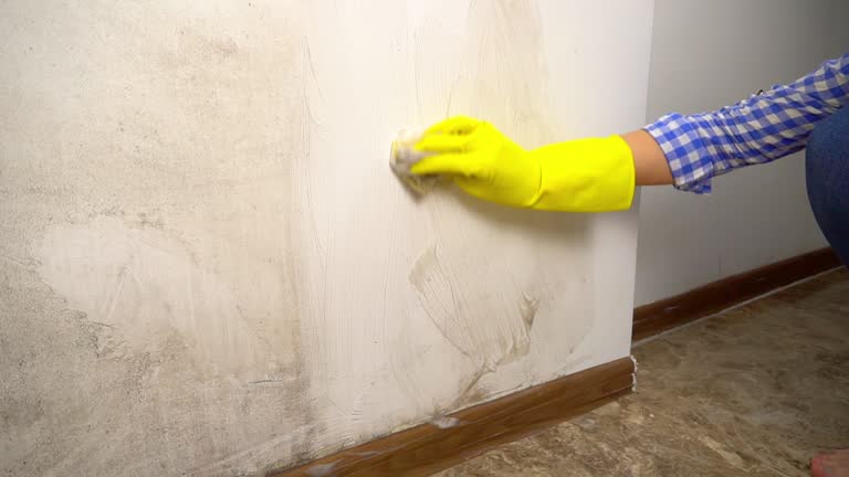 Best Commercial Mold Inspection  in Ponce Inlet, FL